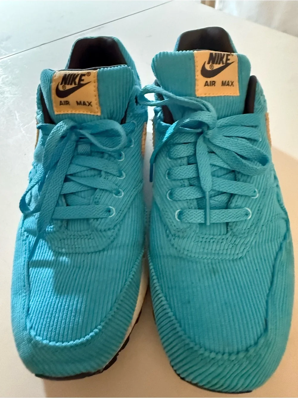 Nike Air Max Men’s Corduroy Sneaker Teal and Tan